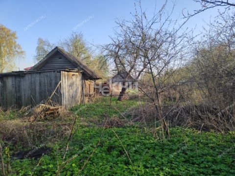 selo-lvovo-vorotynskiy-gorodskoy-okrug фото