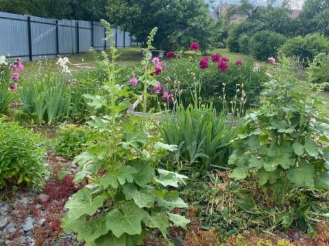 sovetskiy-rayon фото