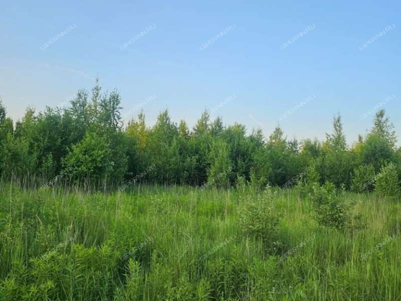 земельный участок 10 соток Лесная село Елховка