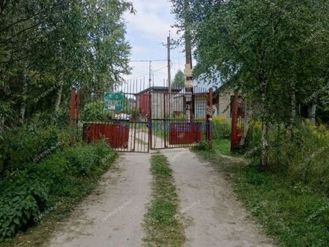 dacha-rabochiy-poselok-gidrotorf-balahninskiy-municipalnyy-okrug фото