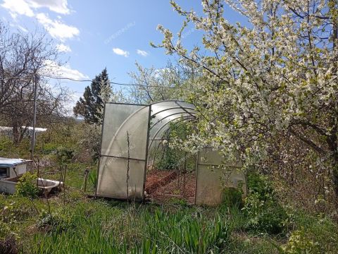 dacha-gorod-vorsma-pavlovskiy-municipalnyy-okrug фото