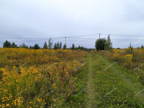 derevnya-kileley-bogorodskiy-municipalnyy-okrug фото