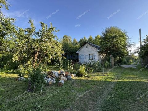 dacha фото