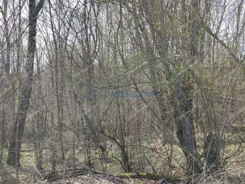 dom-derevnya-burcevo-bogorodskiy-municipalnyy-okrug фото