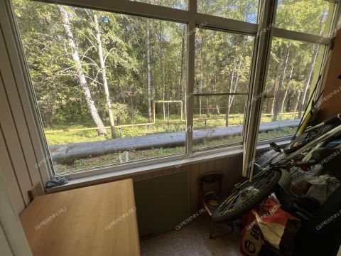 1-komnatnaya-selo-kriusha-gorodskoy-okrug-arzamas фото