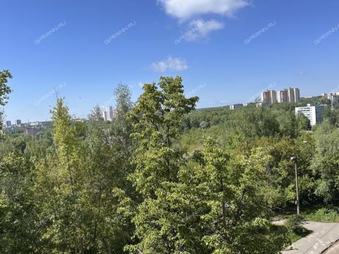 2-komnatnaya-ul-germana-lopatina-d-14-k1 фото
