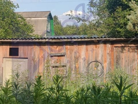 dacha-derevnya-podrezovo-gorodskoy-okrug-bor фото