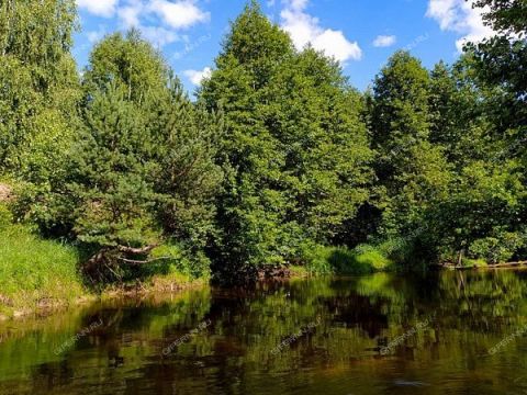 derevnya-rekshino-gorodskoy-okrug-bor фото