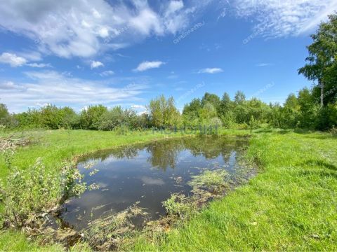 dom-selo-mihaylovskoe-vorotynskiy-gorodskoy-okrug фото