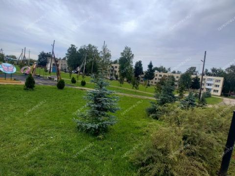 2-komnatnaya-derevnya-prokoshevo-kstovskiy-rayon фото