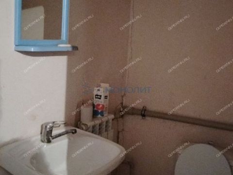 gorod-bogorodsk-bogorodskiy-municipalnyy-okrug фото