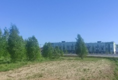 Нижегородцы требуют отменить строительство склада Wildberries в Новинках