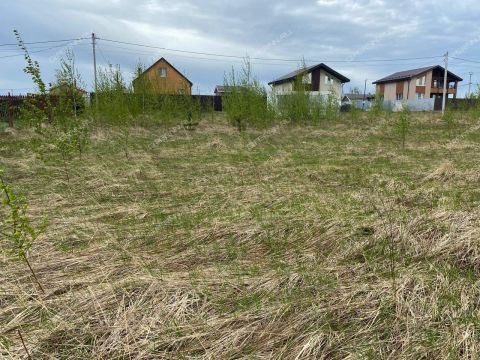 selo-efimevo-bogorodskiy-municipalnyy-okrug фото