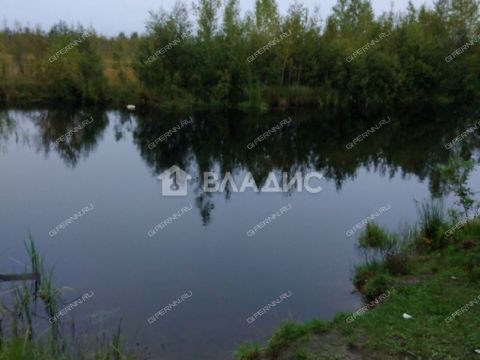 dom-derevnya-belkino-yamnovskiy-selsovet-gorodskoy-okrug-bor фото