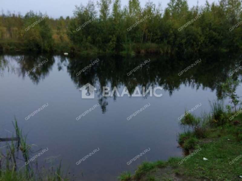 дом на  деревня Белкино (Ямновский сельсовет)