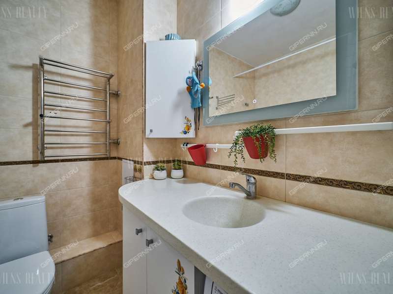 трёхкомнатная квартира на Русской улице улице дом 4 деревня Анкудиновка