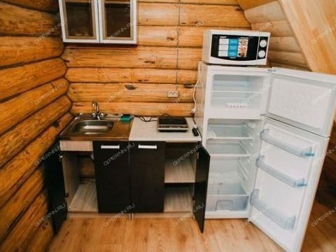 derevnya-rozhnovo-gorodskoy-okrug-bor фото