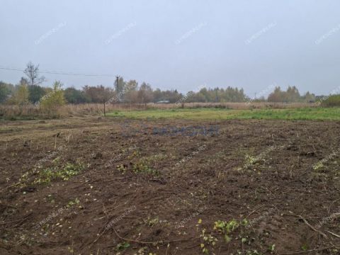 derevnya-shopovo-bogorodskiy-municipalnyy-okrug фото