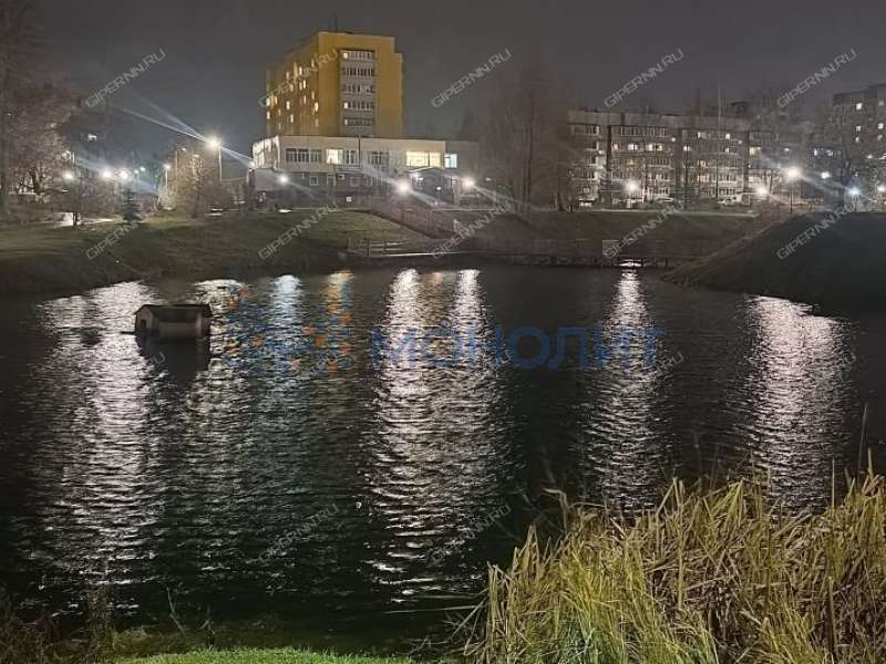 однокомнатная квартира на Лукерьинской улице дом 1 город Кстово