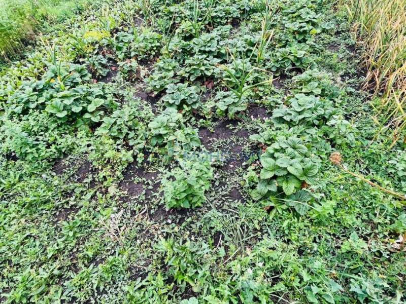 дом на улице Коммунистическая село Бритово