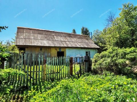 dom-selo-dudenevo-bogorodskiy-municipalnyy-okrug фото