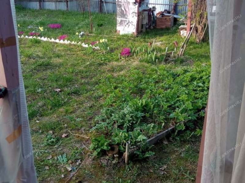 земельный участок 468 соток село Кантаурово