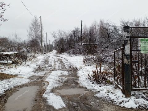 snt-sadovnik-gorodskoy-okrug-bor фото