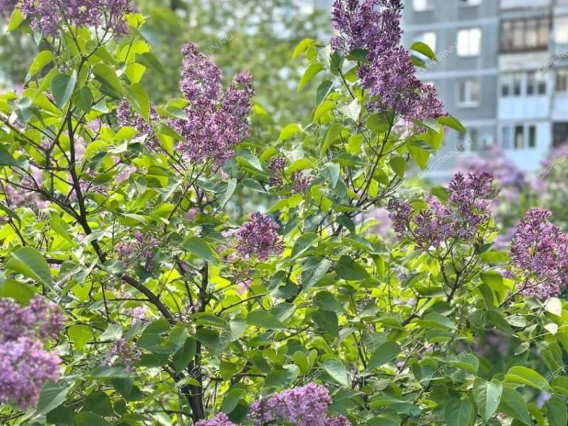 однокомнатная квартира на улице Сергея Есенина дом 20