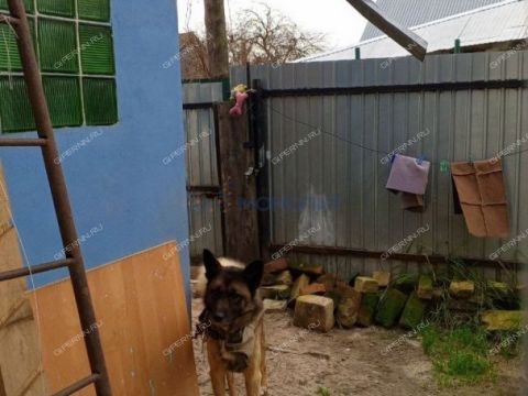 3-komnatnaya-ul-mineralnaya-d-10 фото