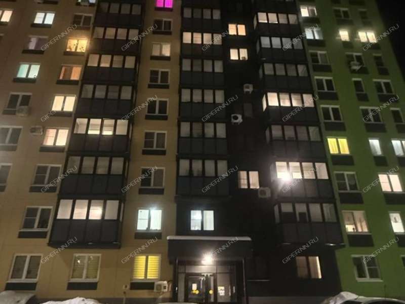 однокомнатная квартира на улице Бориса Видяева дом 28