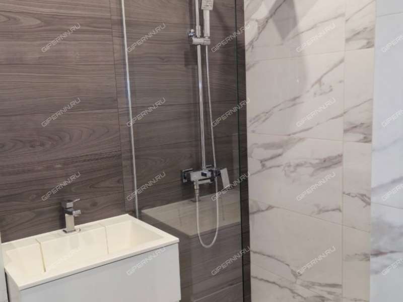 однокомнатная квартира на проспекте Ленина дом 57 к5