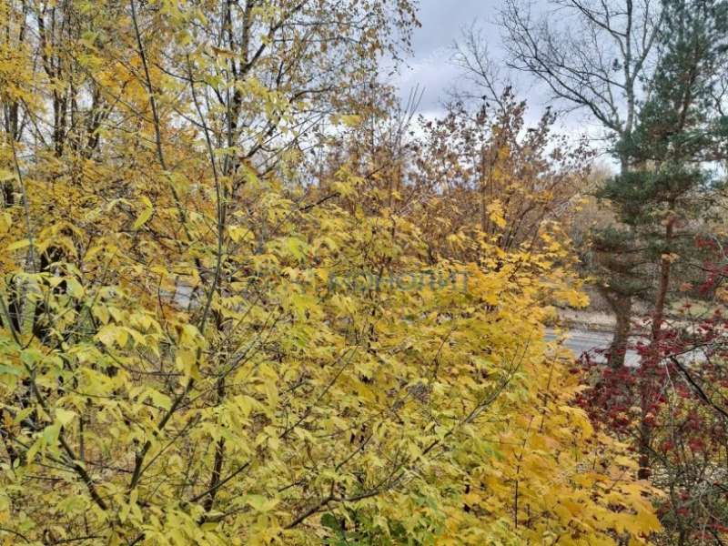 однокомнатная квартира на улице Строкина дом 16б