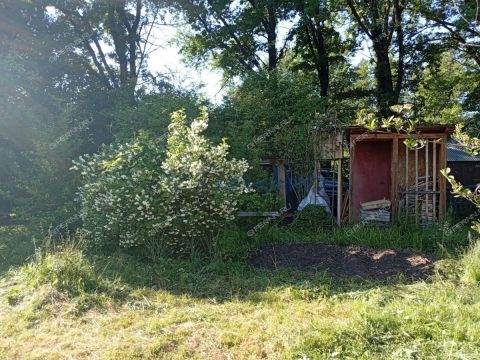 dacha фото