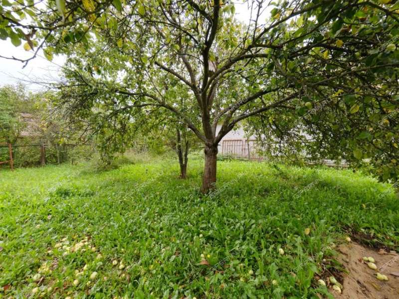 дом на 1-й Луговой улице село Кантаурово