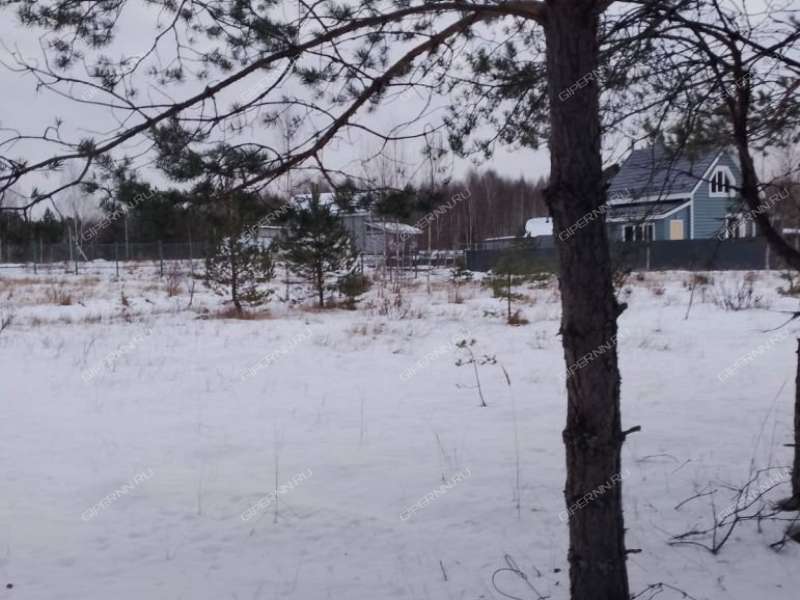 земельный участок 10,1 сотки Березовая пойма п