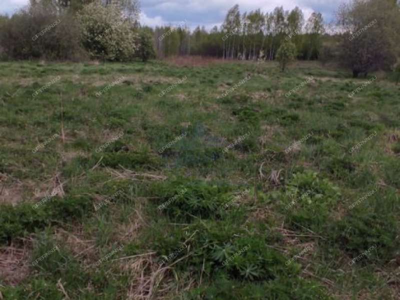 земельный участок 20 соток деревня Сбоиха