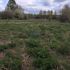 земельный участок 20 соток деревня Сбоиха