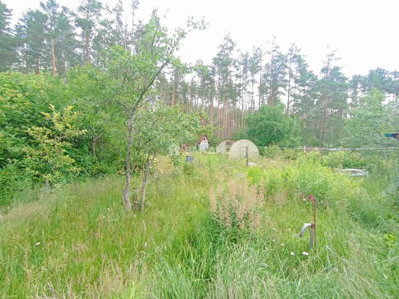 дача на СНТ Садомово