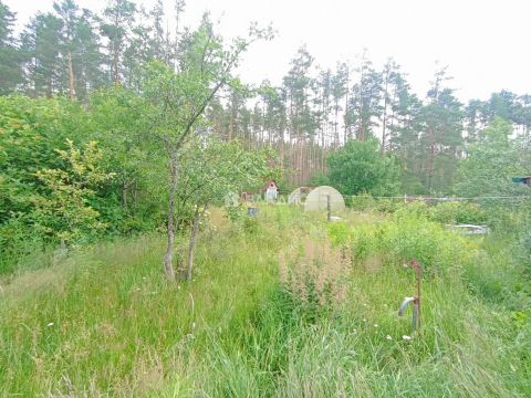 dacha-snt-sadomovo-gorodskoy-okrug-bor фото