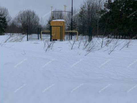 selo-arapovo-bogorodskiy-municipalnyy-okrug фото