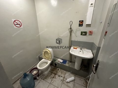 ul-vedenyapina-d-14a фото