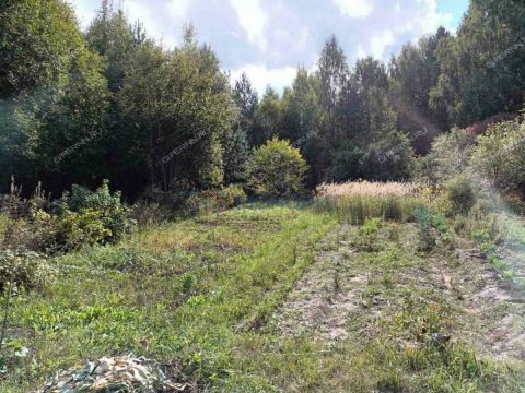 dacha-pamyat-derevnya-hmelevaya-polyana-ter-snt-dalnekonstantinovskiy-rayon фото