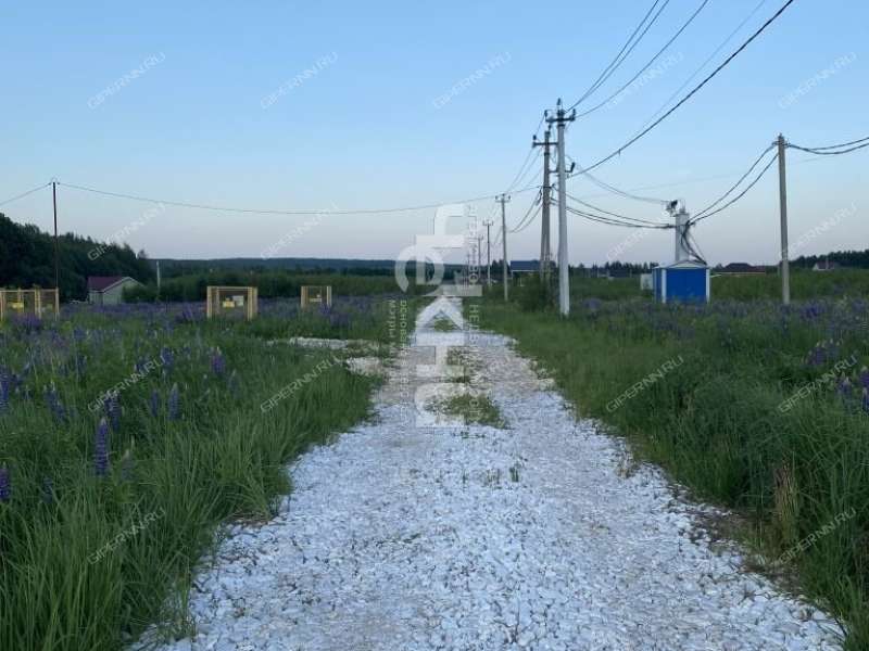 земельный участок 20 соток Семена Захарова село Дуденево