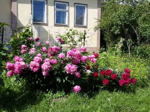 dom-derevnya-frolovskoe-kstovskiy-rayon фото
