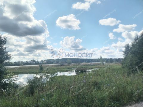 derevnya-hahaly-semenovskiy-gorodskoy-okrug фото