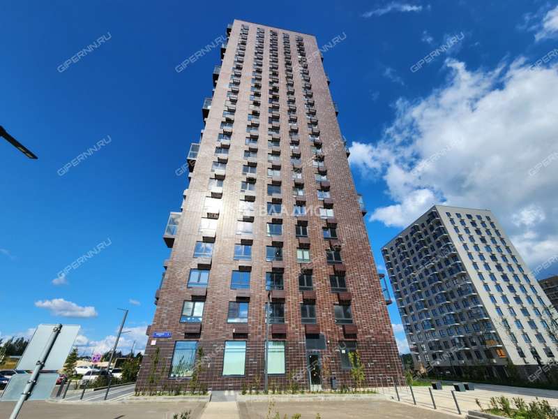 однокомнатная квартира на улице Небесная дом 1 деревня Утечино