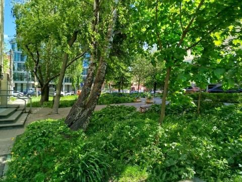 3-komnatnaya-ul-belinskogo-d-104 фото
