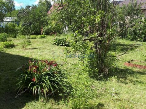 dacha-snt-yasnaya-polyana-gorodskoy-okrug-bor фото