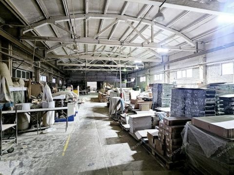 gorod-bor-gorodskoy-okrug-bor фото