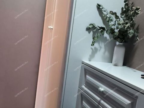 1-komnatnaya-ul-geroya-samochkina-d-11 фото